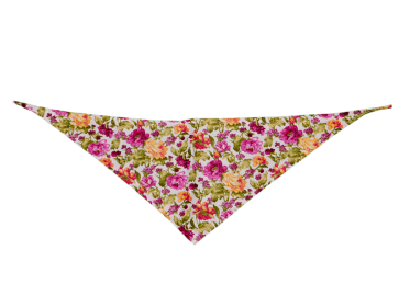 GG129FB|Pets Ribbons (size: large)