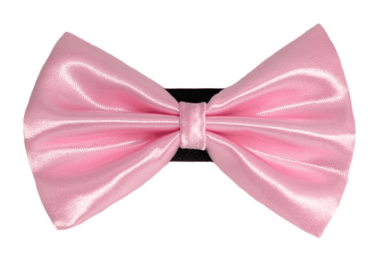 PR3000|Pets Ribbons (Color: 6, size: 4")