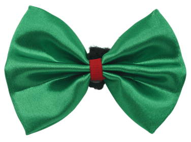 PR3000X|Pets Ribbons (Color: Green, size: 5")