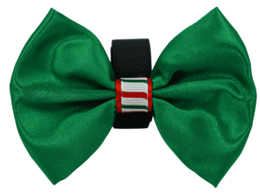 PR3000XCS|Pets Ribbons (Color: Green, size: 6")