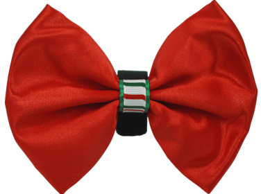 PR3000XCS|Pets Ribbons (Color: Red, size: 4")