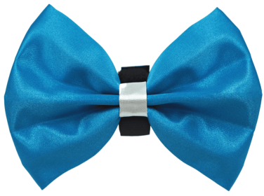 PR3001|Pets Ribbons (Color: 1, size: 3")