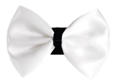 PR3001|Pets Ribbons (Color: 9, size: 3")