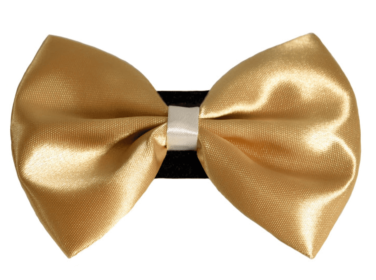 PR3001|Pets Ribbons (Color: 3, size: 4")