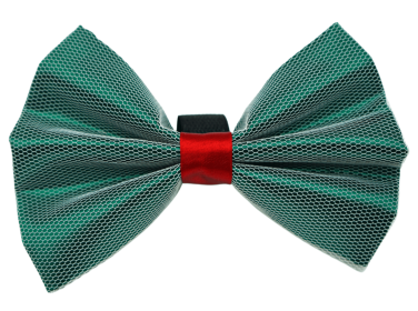 PR3004X|Pets Ribbons (Color: Green, size: 2")