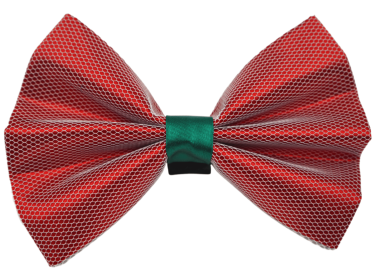 PR3004X|Pets Ribbons (Color: Red, size: 4")