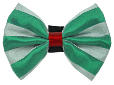 PR3006X|Pets Ribbons (Color: Green/White, size: 6")