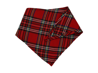 GG142FB|Pets Ribbons (size: medium)