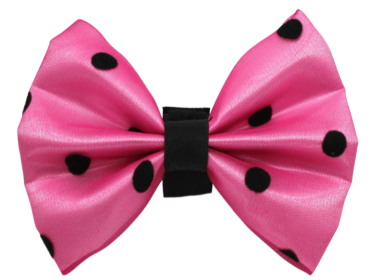PR1001|Pets Ribbons (Color: 1, size: 5")