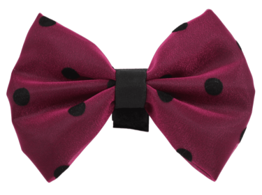 PR1001|Pets Ribbons (Color: 8, size: 6")
