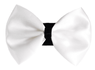 PR3001|Pets Ribbons (Color: 9, size: 5")