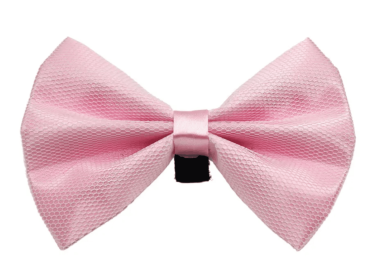 PR3004|Pets Ribbons (Color: 4, size: 6")