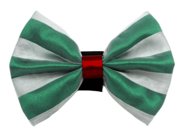 PR3006|Pets Ribbons (Color: 7, size: 2")