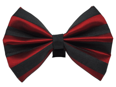 PR3006|Pets Ribbons (Color: 2, size: 3")