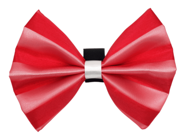 PR3006|Pets Ribbons (Color: 4, size: 5")
