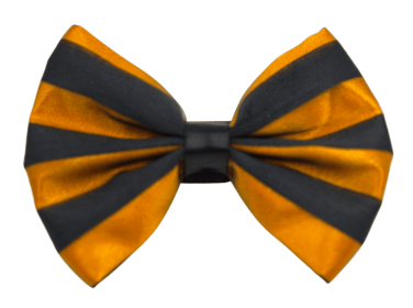 PR3006|Pets Ribbons (Color: 6, size: 6")