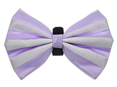 PR3006|Pets Ribbons (Color: 10, size: 6")