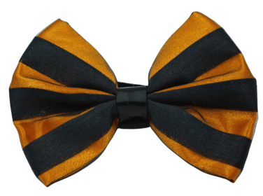 PR3006HS|Pets Ribbons (Color: Orange, size: 5")
