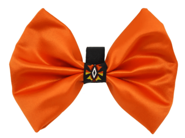 PR3007|Pets Ribbons (Color: Orange, size: 2")