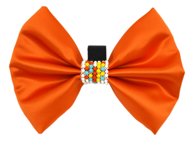 PR3008|Pets Ribbons (Color: Orange, size: 4")