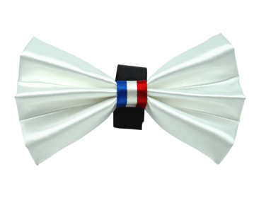PR3009|Pets Ribbons (Color: White, size: 3")