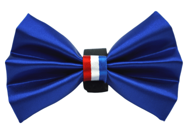 PR3009|Pets Ribbons (Color: Blue, size: 5")
