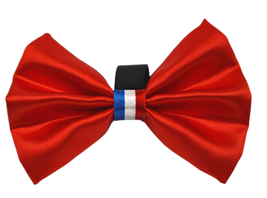 PR3009|Pets Ribbons (Color: Red, size: 6")