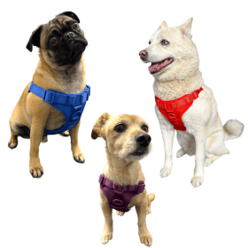 Step In Dog Harness (style: Orange, size: large)