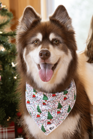Howliday Cheer Dog Bandana (Bandana Size: S/M - 18in x 10in)