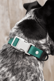 Siberian Spruce Waterproof Dog Collar (size: 21 - 28 inch)