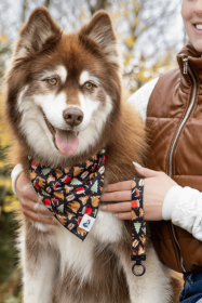 Woodland Tales Dog Bandana & Matching Keychain (Bandana Size: S/M - 18in x 10in)