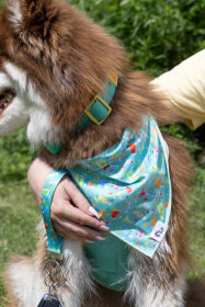 Seaside Sips Dog Bandana & Matching Keychain (Bandana Size: S/M - 18in x 10in)