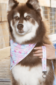 Pink and Blue Tribal Dog Bandana & Matching Keychain (Bandana Size: S/M - 18in x 10in)