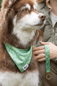 Pine Cone Pup Bandana & Matching Keychain (Bandana Size: XL - 35in x 17in)