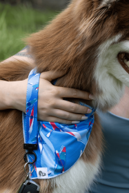K9 Kayak Dog Bandana & Matching Keychain (Bandana Size: M/L - 27in x 13in)