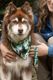 Evergreen Explorer Dog Bandana & Matching Keychain (Bandana Size: M/L - 27in x 13in)