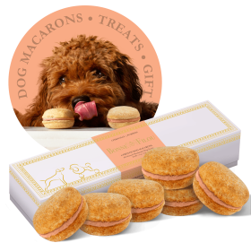 Dog Macarons - Box of 6 (Available in 12 Flavors) (Flavor: Pumpkin)