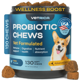 Probiotic for Dogs (Option: Chews)