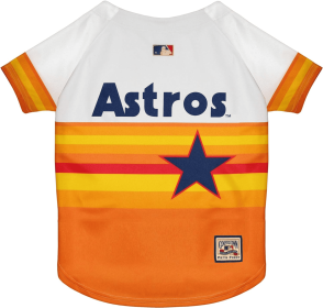 Astros Vintage Rainbow Jersey (size: LG)
