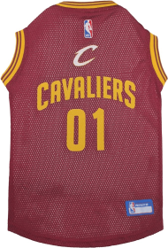 Cleveland Cavaliers Basketball Mesh Jersey (size: XS)