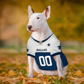 Dallas Cowboys Throwback Jersey (size: XS)