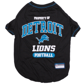 Detroit Lions Tee Shirt (size: XS)