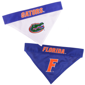 Florida Reversible Bandana (size: S-M)