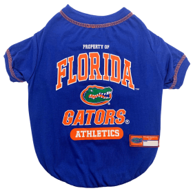 Florida Tee Shirt (size: LG)