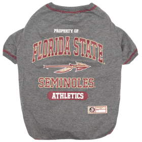 Florida State Tee Shirt (size: XL)