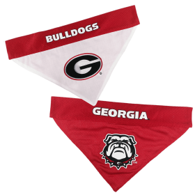 Georgia Reversible Bandana (size: XXL)