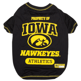 Iowa Tee Shirt (size: XS)