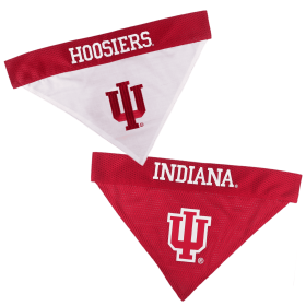 Indiana Reversible Bandana (size: L-XL)