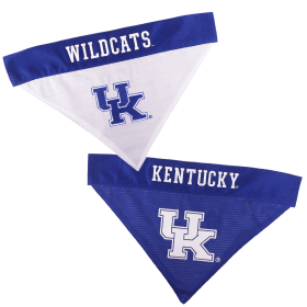 Kentucky Reversible Bandana (size: S-M)