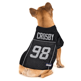 Maxx Crosby Pet Striped Jersey (Oak) (Color: Team Colors, size: XL)